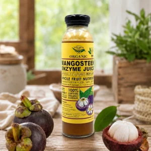 Organic Mangosteen Enzyme Juice 有机山竹酵素果汁
