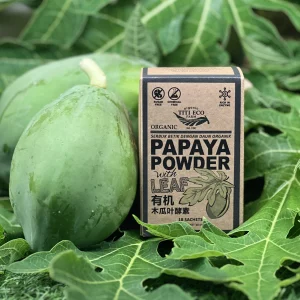 Organic Papaya Powder with Leaf 有机木瓜叶酵素