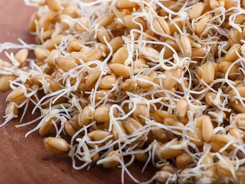 PRO-EZM03A_Rejuvelac_2